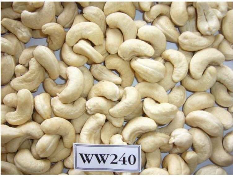 Raw Cashew Nuts WW240 Exporter in Kenya
