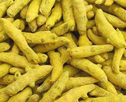 Turmeric (Whole & Powder) for export — wholesale turmeric (whole & powder) supplied by Gloogal Market Turmeric (Whole & Powder) for export — wholesale turmeric (whole & powder) supplied by Gloogal Market