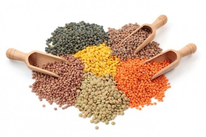 Lentils For Sale Lentils For Sale