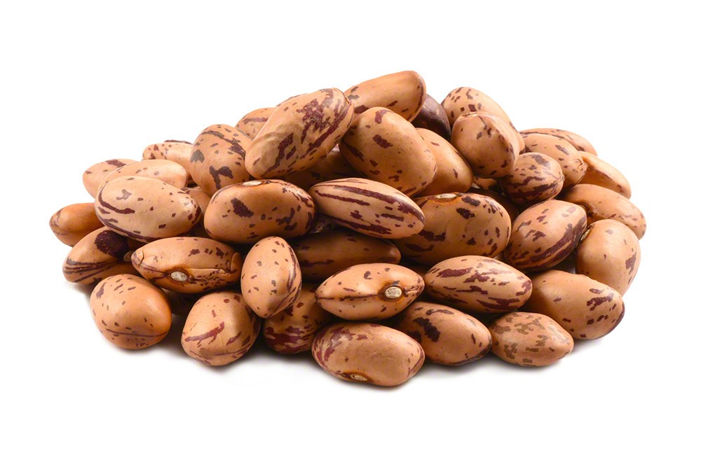 Borlotti (Cranberry) Beans for export — wholesale borlotti (cranberry) beans supplied by Gloogal Market Borlotti (Cranberry) Beans for export — wholesale borlotti (cranberry) beans supplied by Gloogal Market