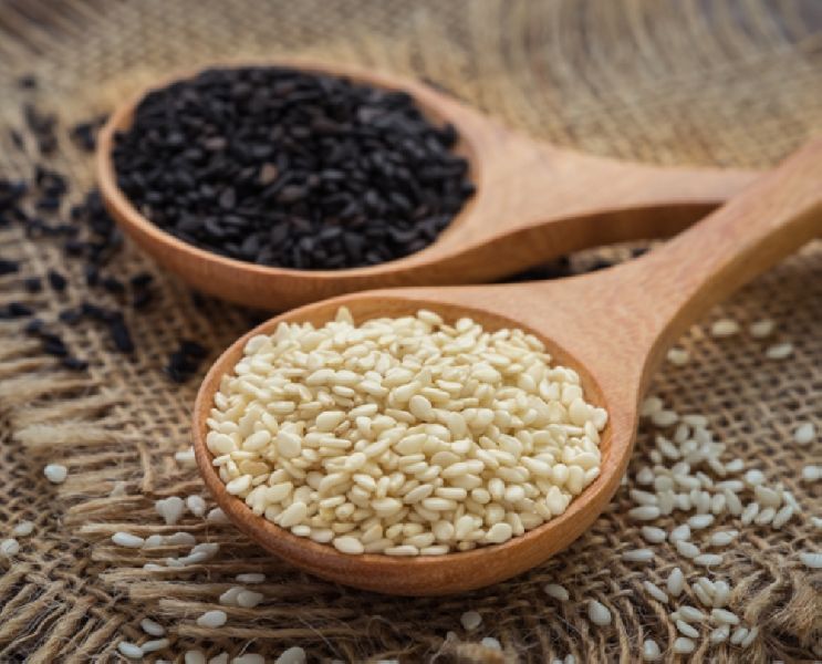 Sesame Seed for sale Sesame Seed for sale