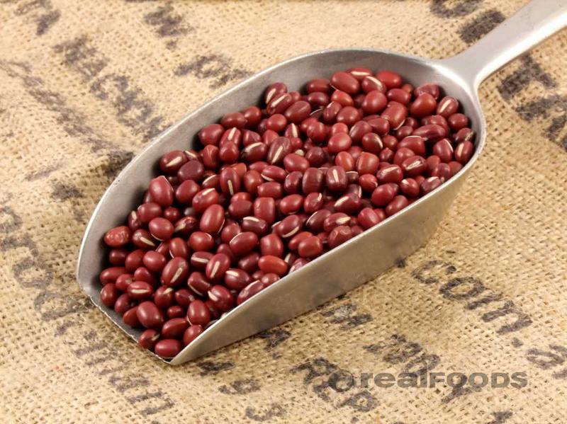 Adzuki Beans for export — wholesale adzuki beans supplied by Gloogal Market Adzuki Beans for export — wholesale adzuki beans supplied by Gloogal Market