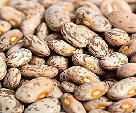 Pinto Beans for export — wholesale pinto beans supplied by Gloogal Market Pinto Beans for export — wholesale pinto beans supplied by Gloogal Market