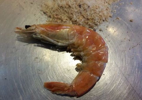 Dried Shrimp For Sale, Where to Buy Dried Shrimp Online: Dried Shrimp Dried Shrimp For Sale, Where to Buy Dried Shrimp Online: Dried Shrimp