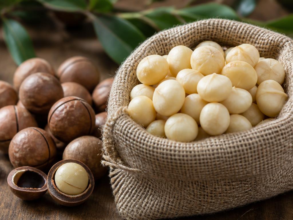 MACADAMIA NUTS IN SHELL:FOR SALE MACADAMIA NUTS IN SHELL:FOR SALE