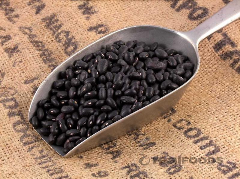 Black Turtle Beans for export — wholesale black turtle beans supplied by Gloogal Market Black Turtle Beans for export — wholesale black turtle beans supplied by Gloogal Market