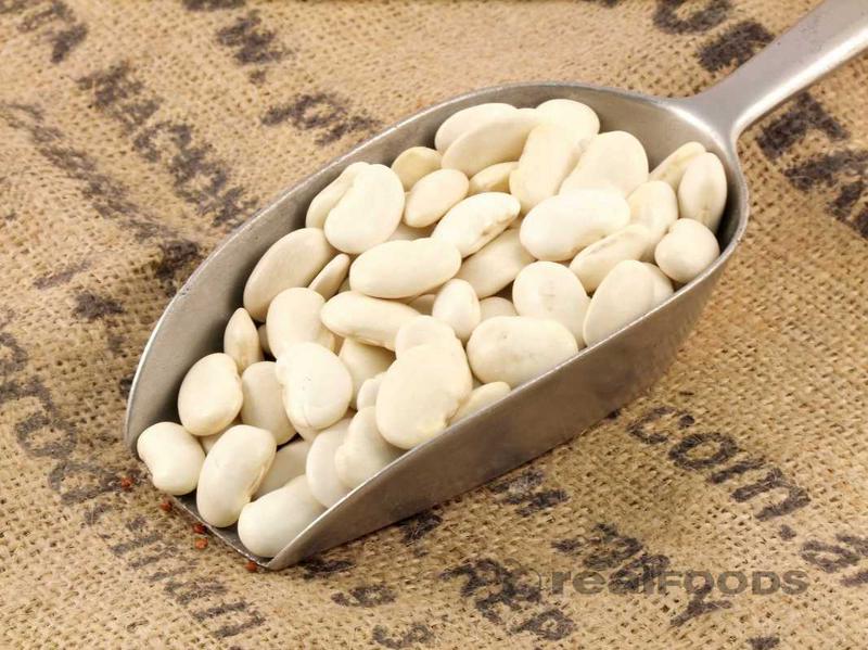 Butter Beans (Lima Beans) for export — wholesale butter beans (lima beans) supplied by Gloogal Market Butter Beans (Lima Beans) for export — wholesale butter beans (lima beans) supplied by Gloogal Market