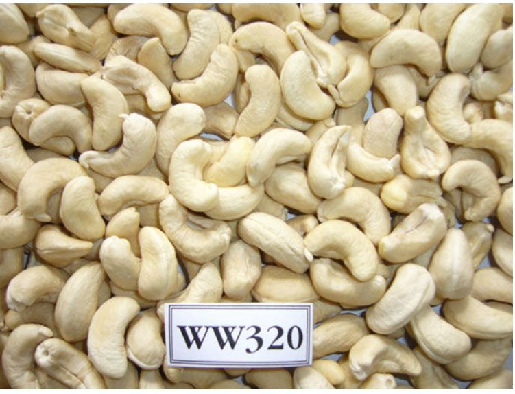 Cashew Nuts ww320 for sale Cashew Nuts ww320 for sale