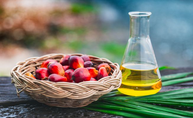 RBD Palm Oil for export — wholesale rbd palm oil supplied by Gloogal Market RBD Palm Oil for export — wholesale rbd palm oil supplied by Gloogal Market