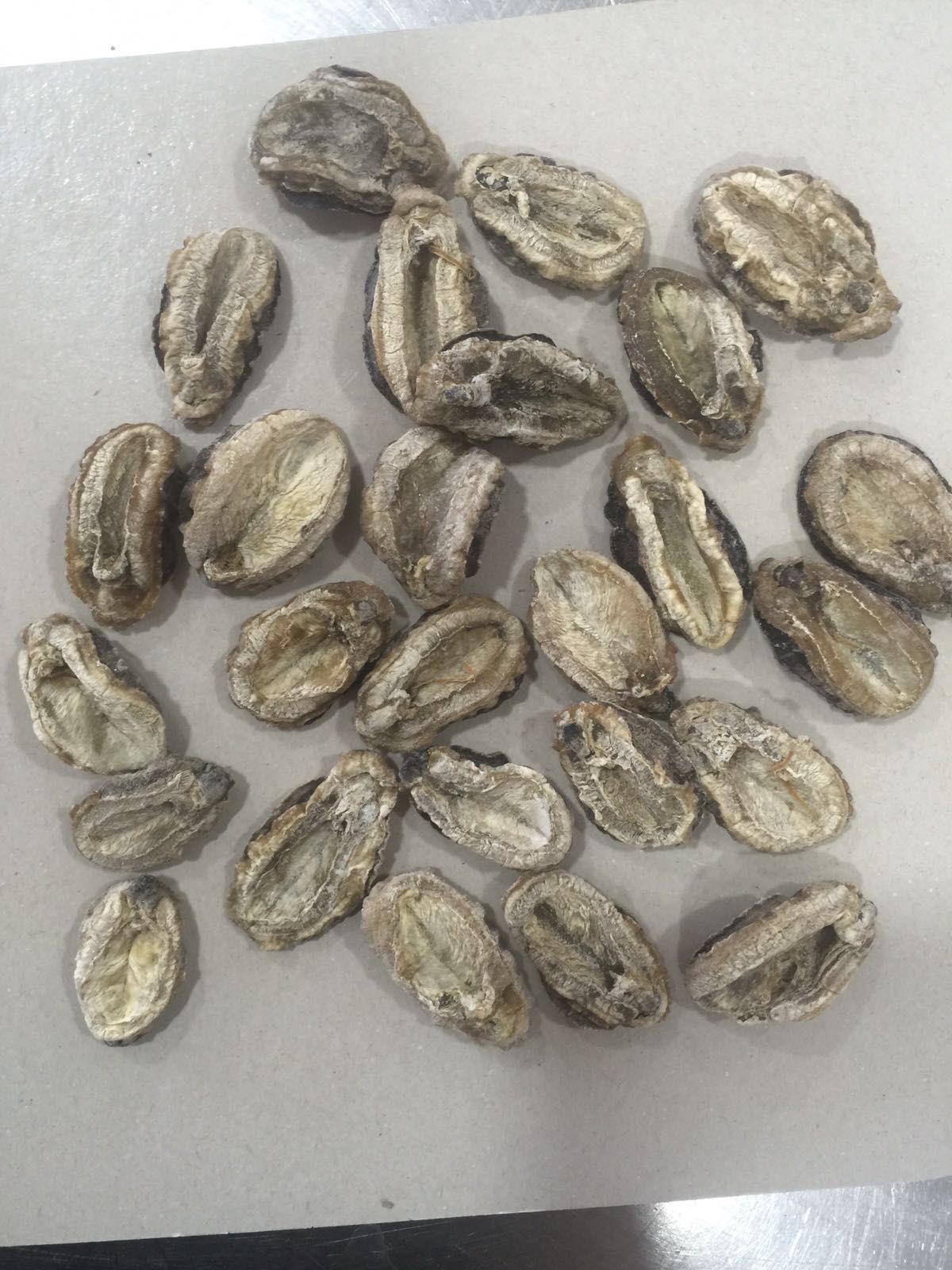 Buy Dried Sea Limpets, Dried Abalone For Sale,Dried Fish Maw, Shark Fins: Dried Abalone Buy Dried Sea Limpets, Dried Abalone For Sale,Dried Fish Maw, Shark Fins: Dried Abalone