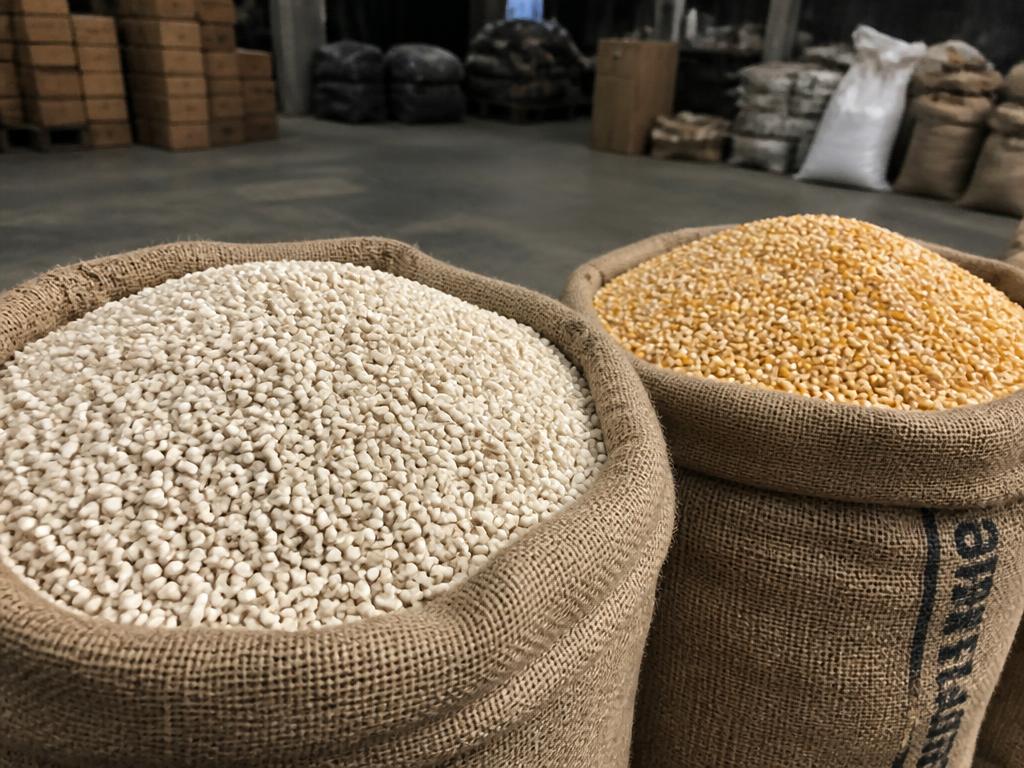 GMO-free white corn packed in 50kg bags for international shipping GMO-free white corn packed in 50kg bags for international shipping