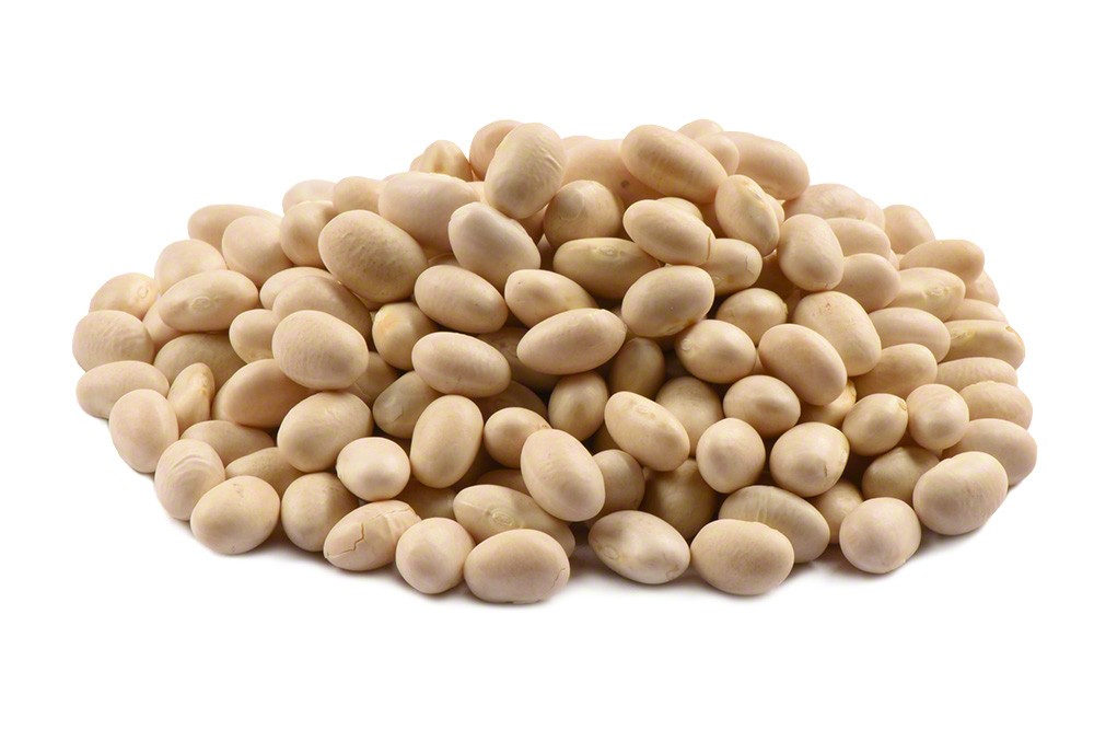 Navy (White Pea) Beans for export — wholesale navy (white pea) beans supplied by Gloogal Market Navy (White Pea) Beans for export — wholesale navy (white pea) beans supplied by Gloogal Market