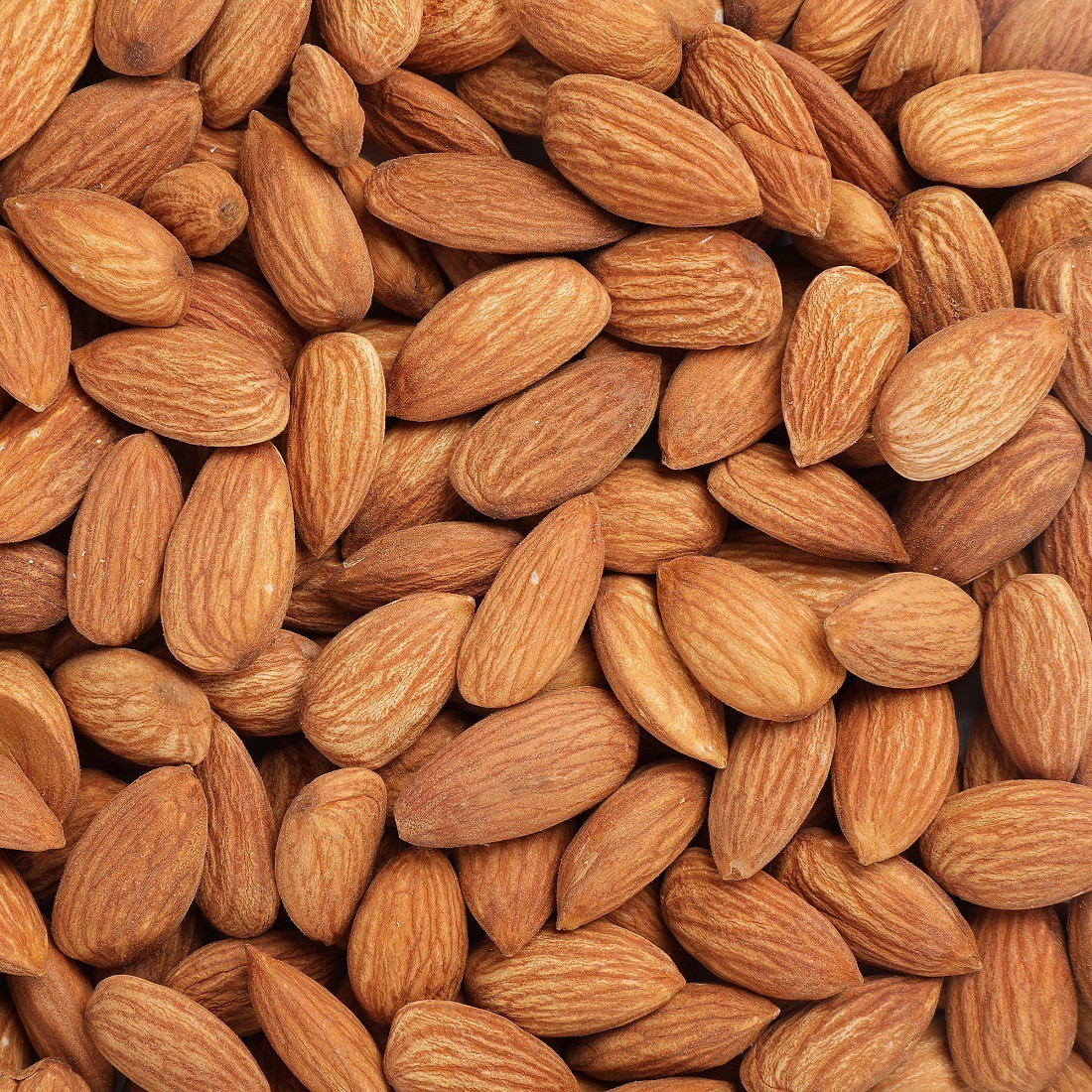 Almond Nuts for export — wholesale almond nuts supplied by Gloogal Market Almond Nuts for export — wholesale almond nuts supplied by Gloogal Market