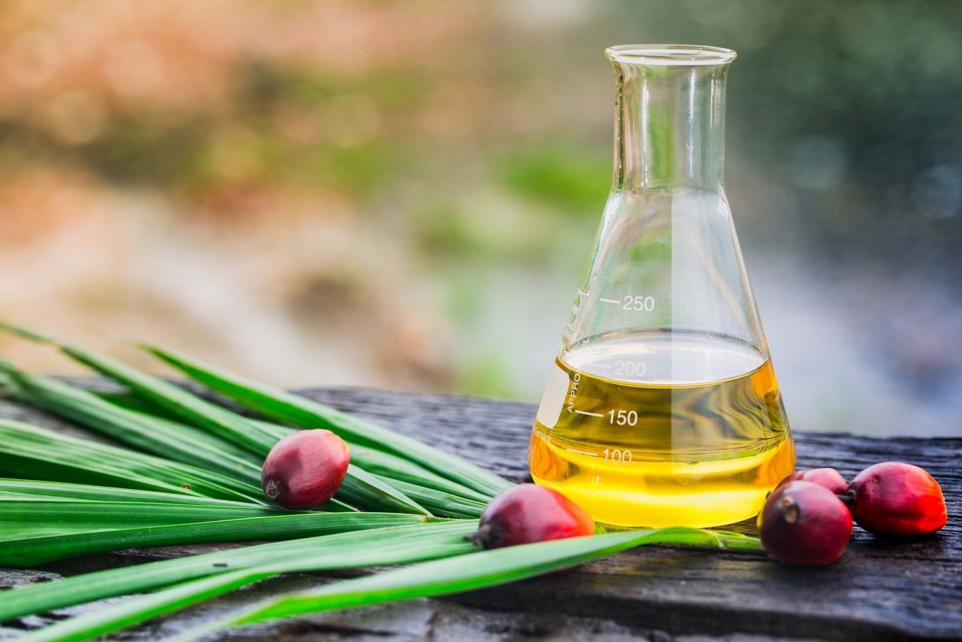 Crude Palm Kernel Oil (CPKO) for export — wholesale crude palm kernel oil (cpko) supplied by Gloogal Market Crude Palm Kernel Oil (CPKO) for export — wholesale crude palm kernel oil (cpko) supplied by Gloogal Market