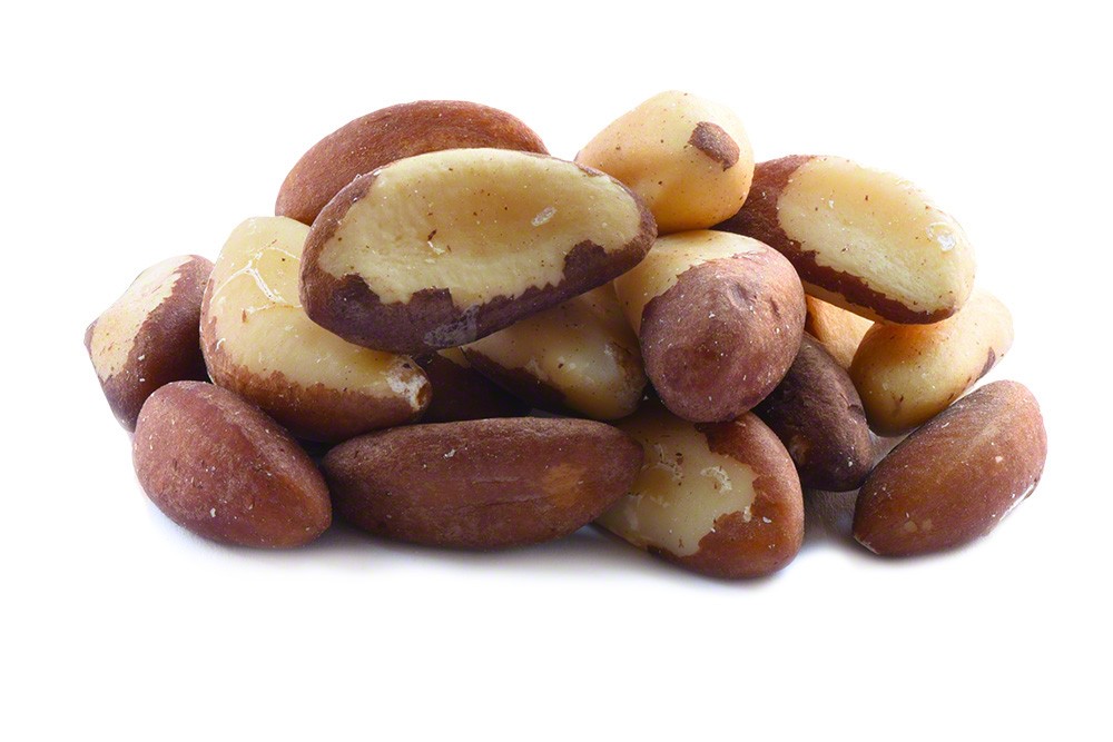 Brazil Nuts for export — wholesale brazil nuts supplied by Gloogal Market Brazil Nuts for export — wholesale brazil nuts supplied by Gloogal Market