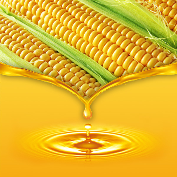 Refined Corn Oil for export — wholesale refined corn oil supplied by Gloogal Market Refined Corn Oil for export — wholesale refined corn oil supplied by Gloogal Market