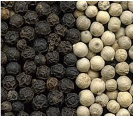 Black And White Pepper For Sale: Black and White Papper for Sale in Kenya Black And White Pepper For Sale: Black and White Papper for Sale in Kenya