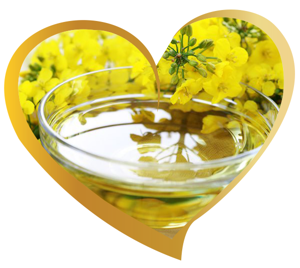 Refined Canola Oil for export — wholesale refined canola oil supplied by Gloogal Market Refined Canola Oil for export — wholesale refined canola oil supplied by Gloogal Market