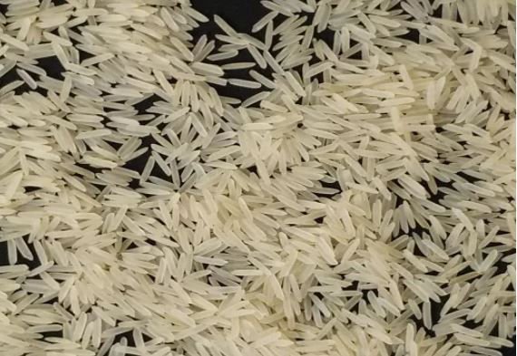 basmati rice for sale in bulk