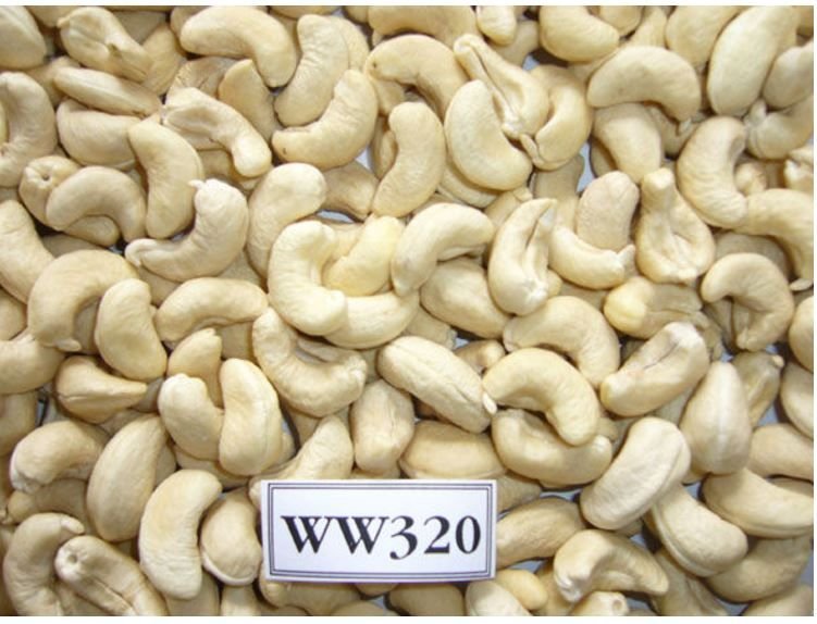WW320 Cashew Nuts for sale