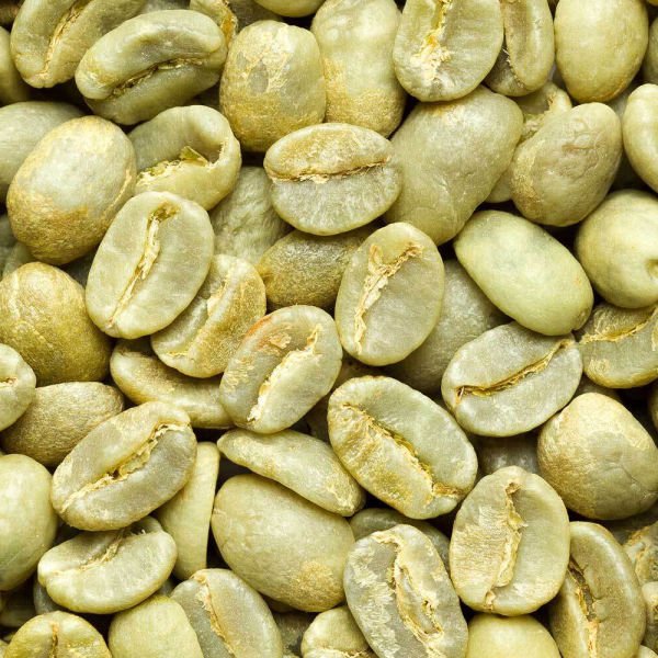 Colombian Supremo Coffee Beans for sale