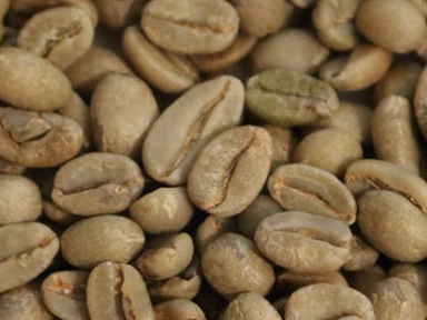 Ethiopian Yirgacheffe coffee beans for sale