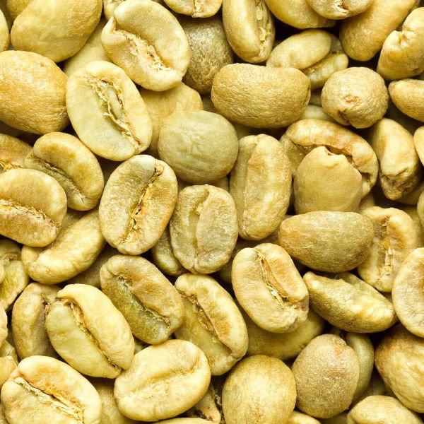 Kenyan Arabica Coffee Beans for sale