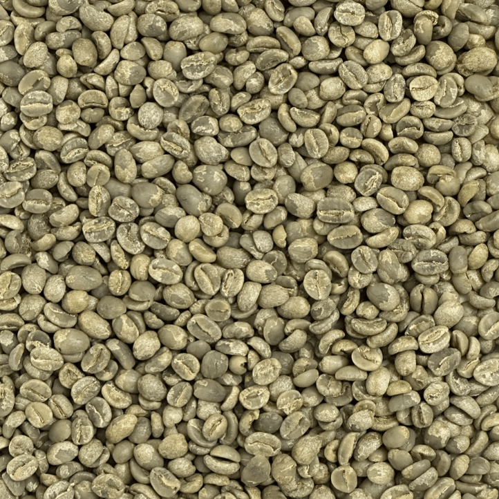 Green Robusta Coffee Beans in Kenya