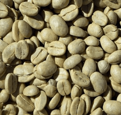 Robusta Coffee Beans for sale
