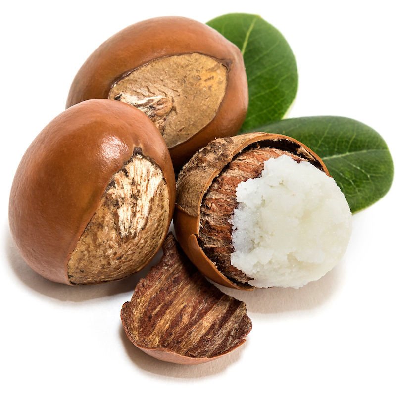 Shea Nuts for sale